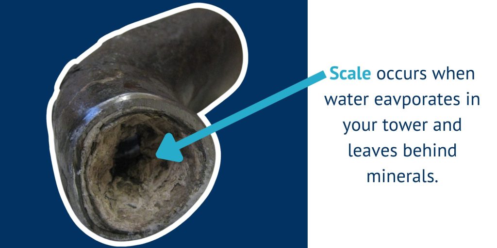 Scale occurs when water evaporates your tower and leaves behind minerals.