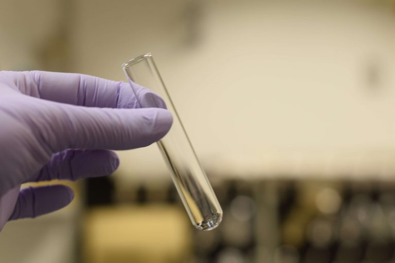 Hand with purple gloves holding a test tube