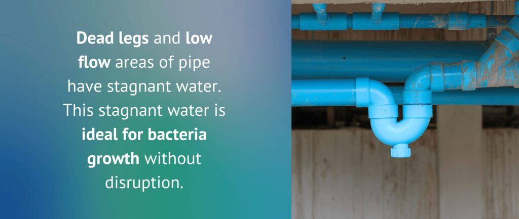 Dead legs and low flow areas of pipe have stagnant water. This stagnant water is ideal for bacteria growth without disruption.