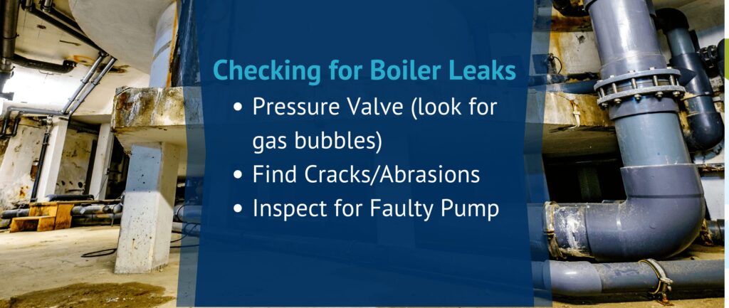 Checking for Boiler Leaks: Pressure Valve (look for gas bubbles) Find Cracks/Abrasions Inspect for Faulty Pump